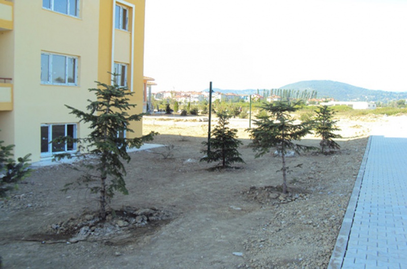 Toki 2011